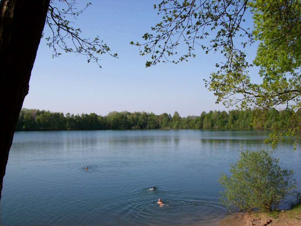 Erste Schwimmer im Tillysee by sherlok