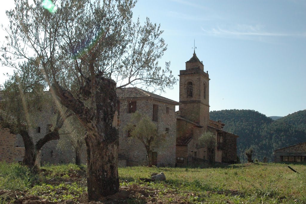 LIGÜERRE DE CINCA by Fisher