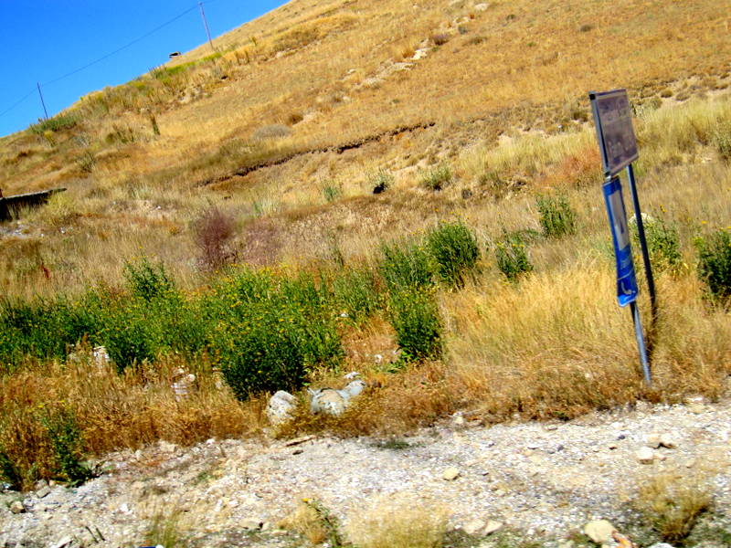 Hakkari Van yolu, Osman Ünlü by Osman Ünlü