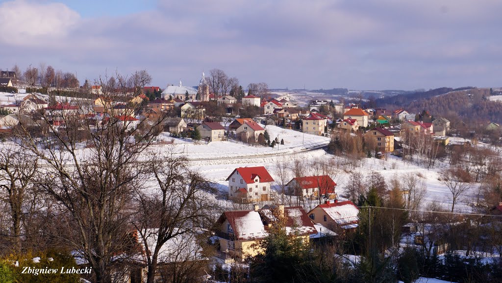 Jawornik Polski z Przedmieścia by Zbigniew Lubecki