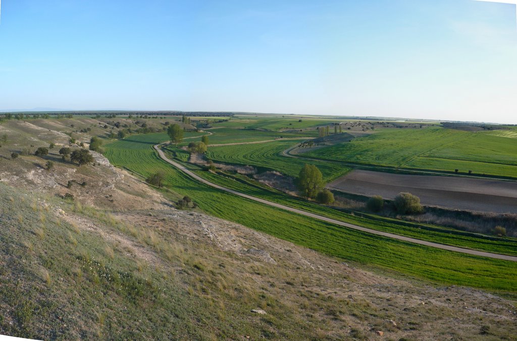 Valle de Vallesa, verde by celtico999