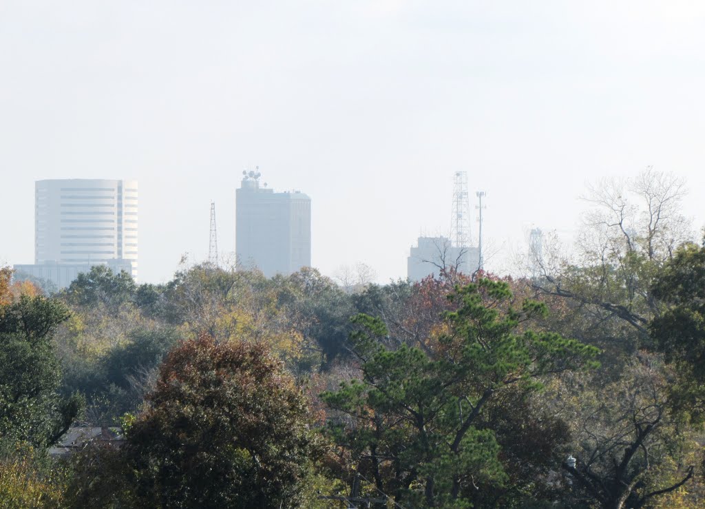 Beaumont TX City Skyline - Eastward looking from Christus Parking Garage by clklock