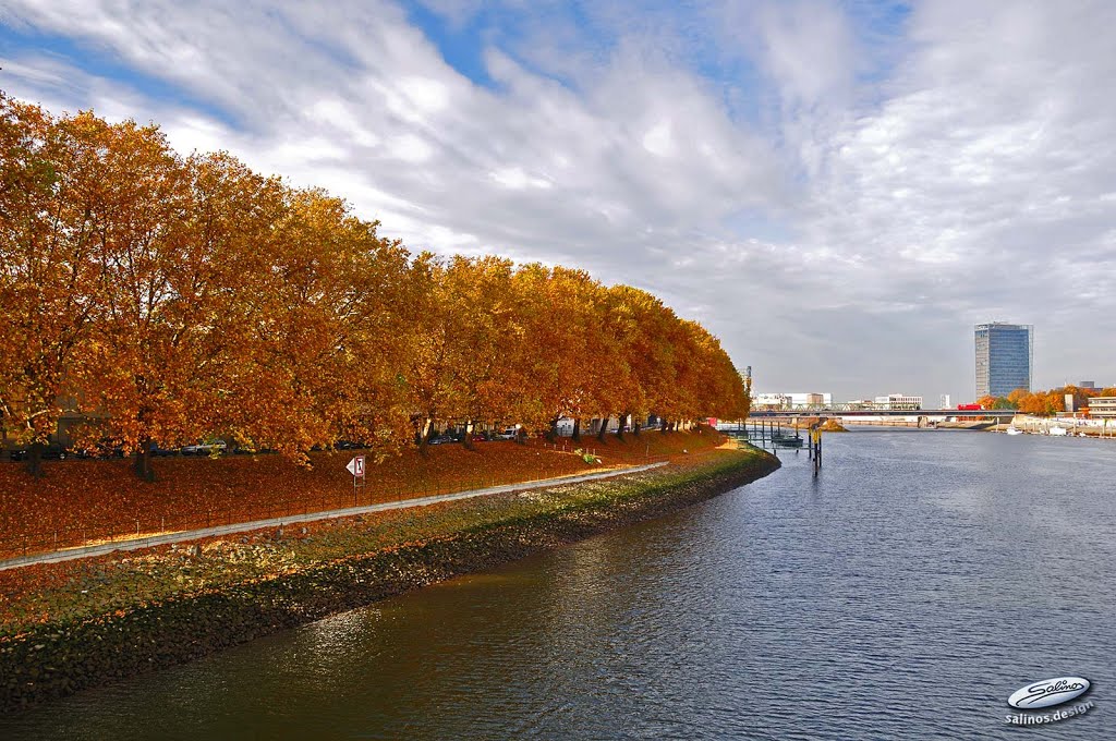 Herbst am Weserufer - (C) by Salinos_de HB by SalinosⒸ