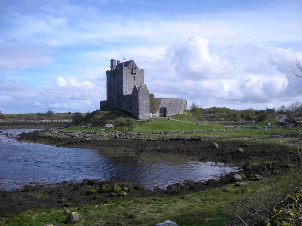 Kinvara/Cinn Mhara, Dunguaire castle/Dún Guaire by Davide Cerri