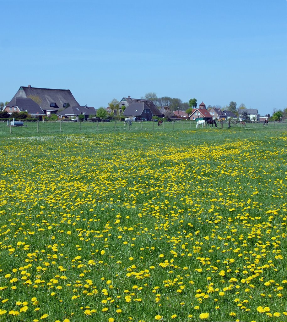 Haseldorf im schönen Monat Mai by Juliane Herrmann