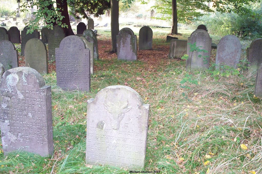 Auf dem jüdischen Friedhof in Köln Deutz by Michael Ohmsen