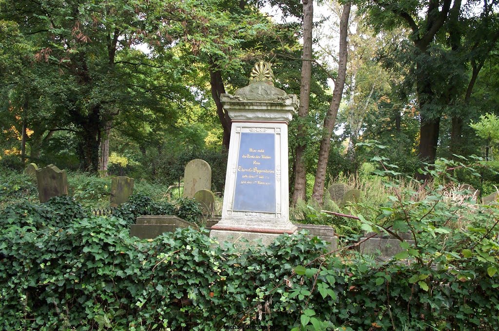 Auf dem jüdischen Friedhof in Köln Deutz by Michael Ohmsen