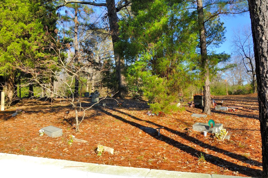 VIRGINIA: HENRICO COUNTY: SANDSTON: Rising Mount Zion Baptist Church, 3857 Rising Mt Zion Road cemetery 2 by Douglas W. Reynolds, Jr.