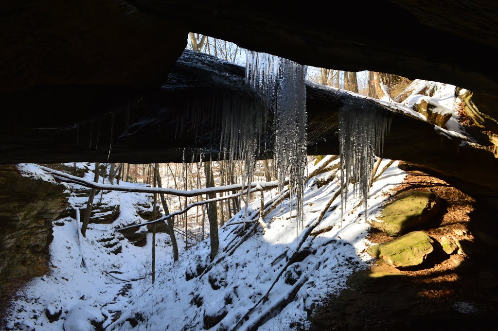 Ravine Arch Yellow Birch Ravine State Nature Preserve by bnj47130