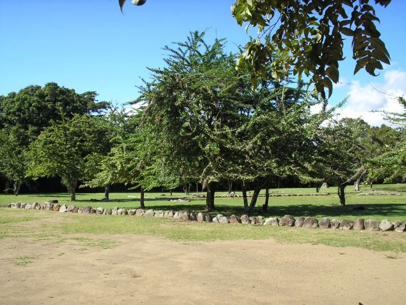 Parque Ceremonial Indígena De Tibes 3 by Hector Perez