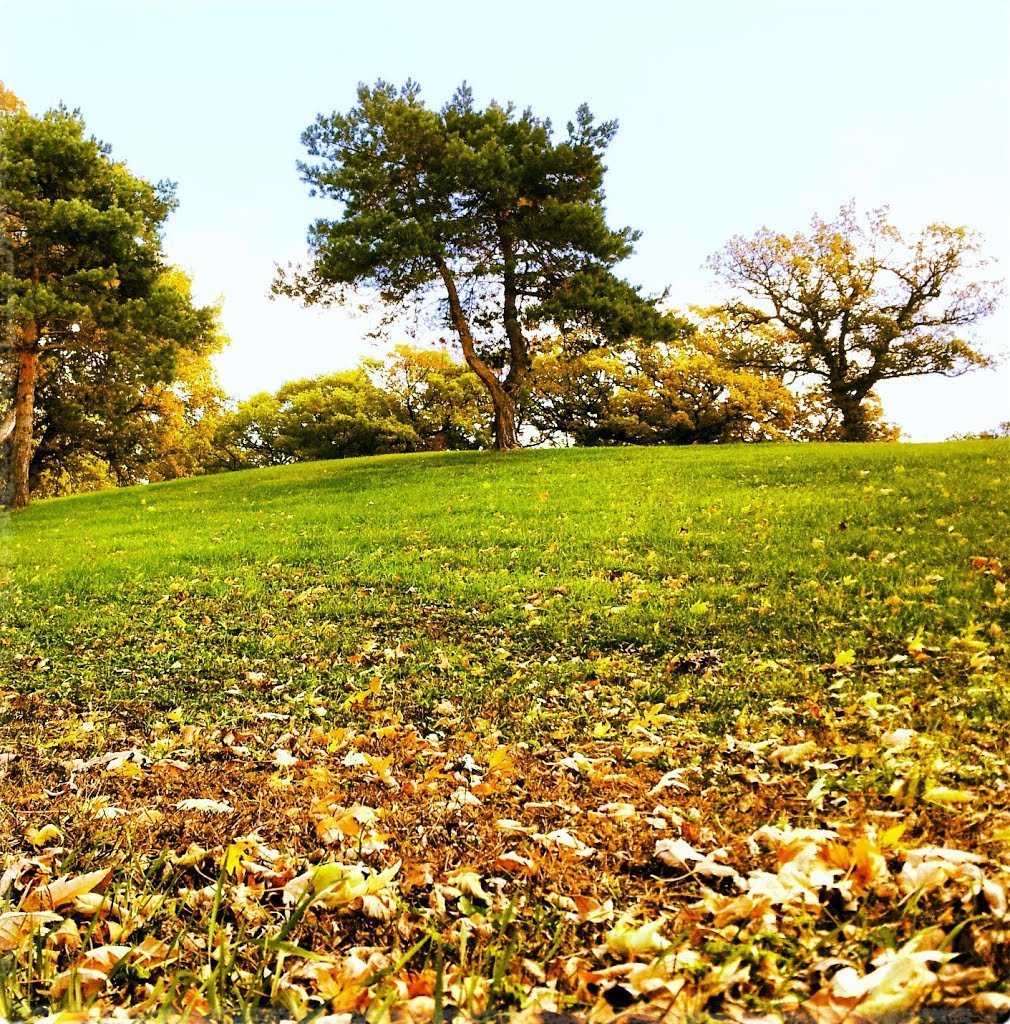 Keller Lake Golfview - Maplewood, MN by Gabriel Vanslette