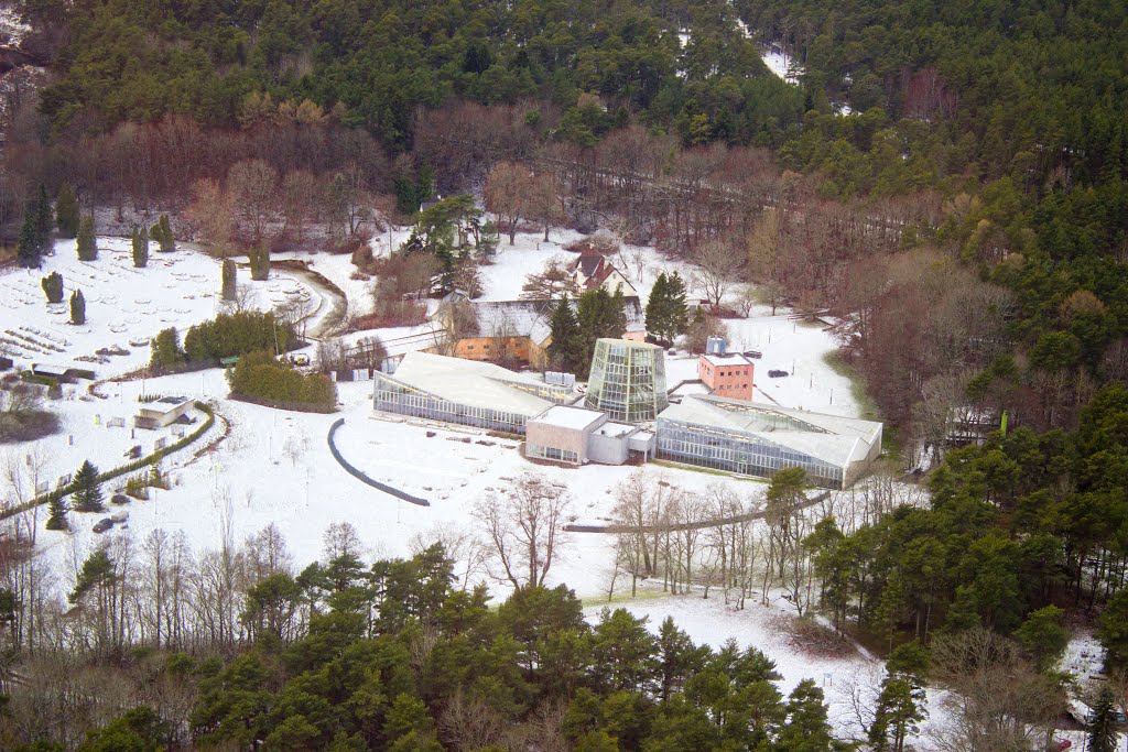 Tallinn Botanical Garden by Laima Gūtmane(simka)