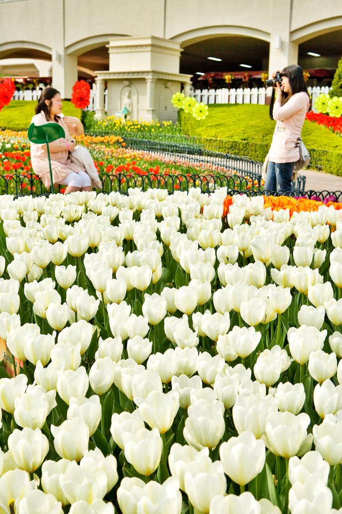 Everland-ro, Pogog-eup, Cheoin-gu, Yongin-si, Gyeonggi-do, South Korea by Korea Tourism Org.