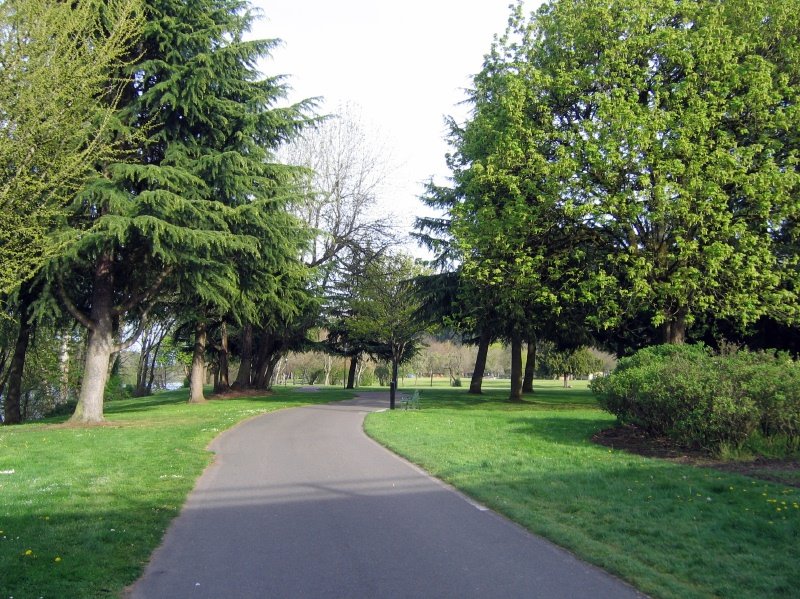 Skinners Butte Park - Bike Path Looking East by Daniel Soule