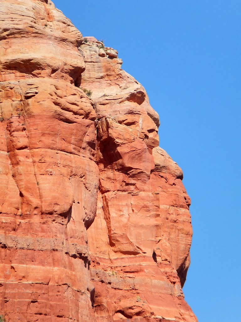 Great Stone Face by Jay Reeve