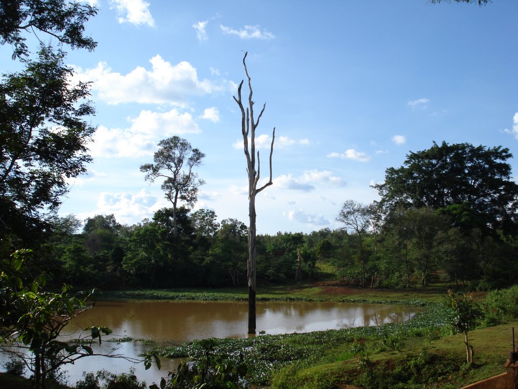 Hồ Buôn Tring 2 (2nd reservoir of Tring Village) by nguyen thanh vinh