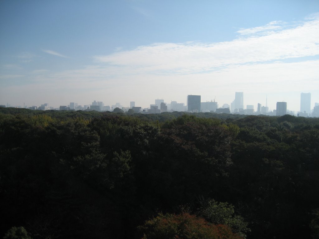 Tokyo Skyline from Olympic Village by brettwdavis