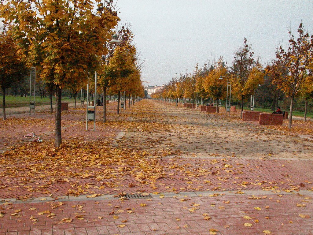 Autunno in Vicenza by leirbeg