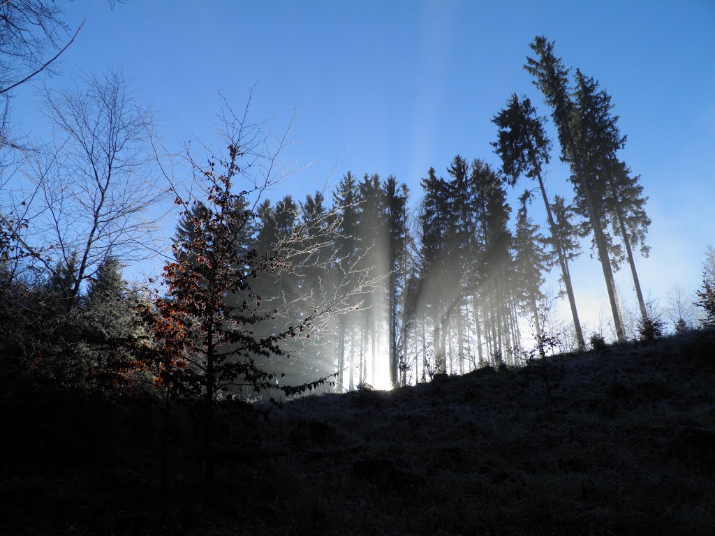 Zimní dopoledne pod hradem Orlík. by ZdenekV