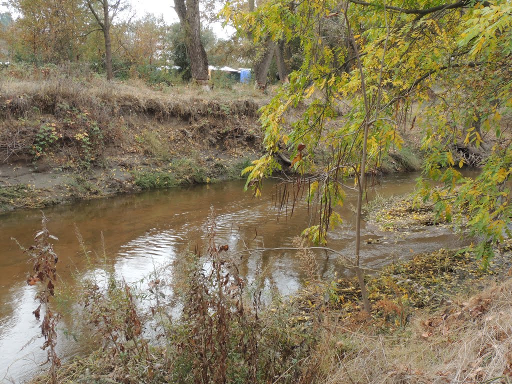 Dry Creek, Rio Linda, CA by Steve Schmorleitz, NationalParkLover.com