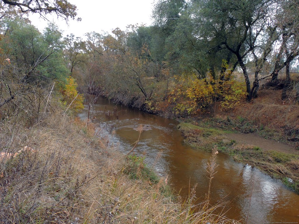 Dry Creek Looking East from Northern Bank by Steve Schmorleitz, NationalParkLover.com