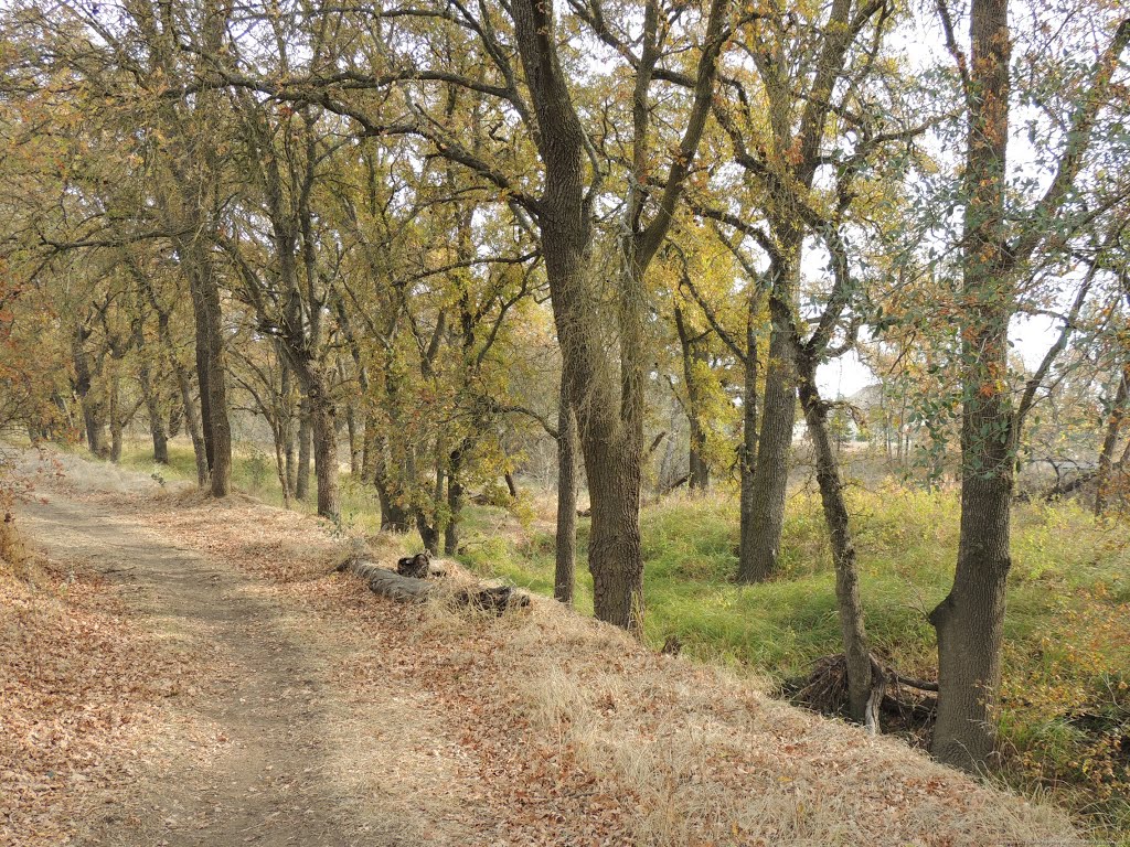 Along the Dry Creek Equestrian Trail, Rio Linda, CA by Steve Schmorleitz, NationalParkLover.com