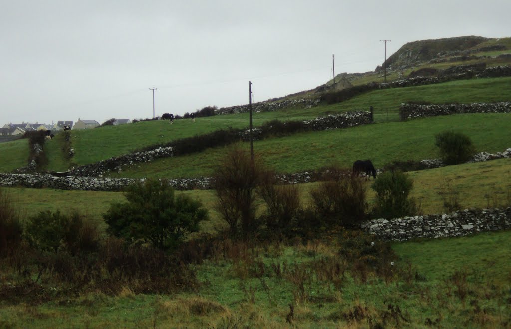 The old lane by Alan L.