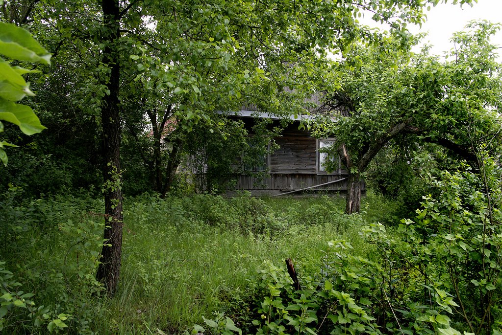 Abandoned house in Grodzisk by wjaz