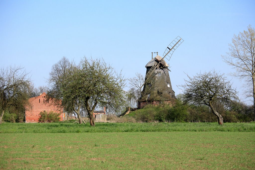 Old Windmill in Palczewo by wjaz