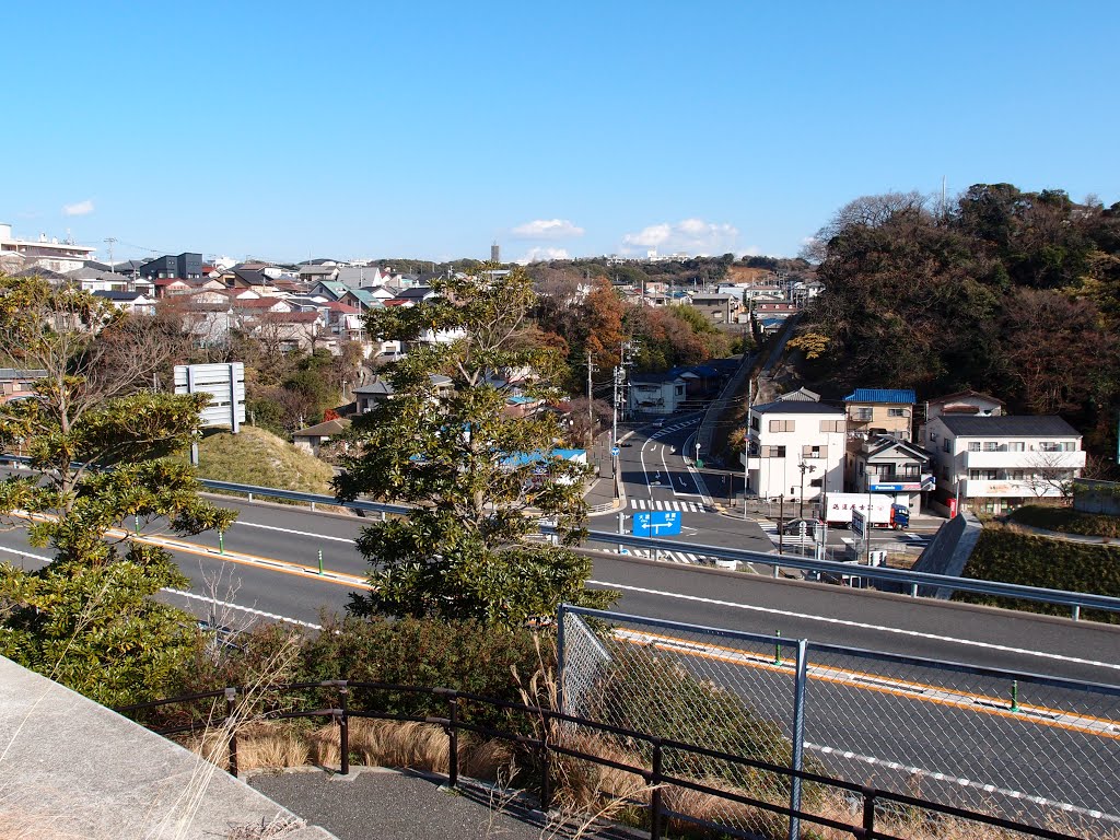 神奈川県横須賀市桜が丘２丁目 by ไก่-8