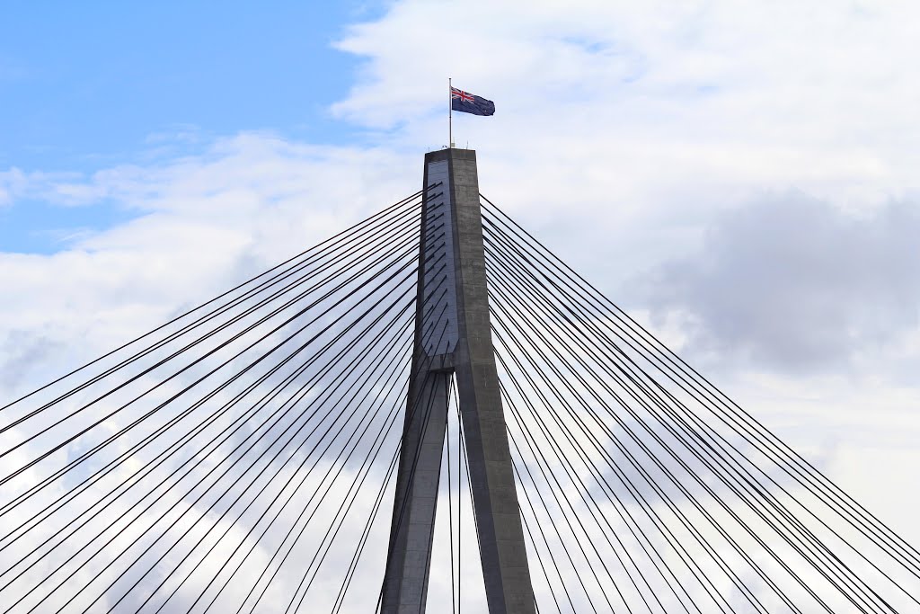 One Aussie Flag by Roger Powell