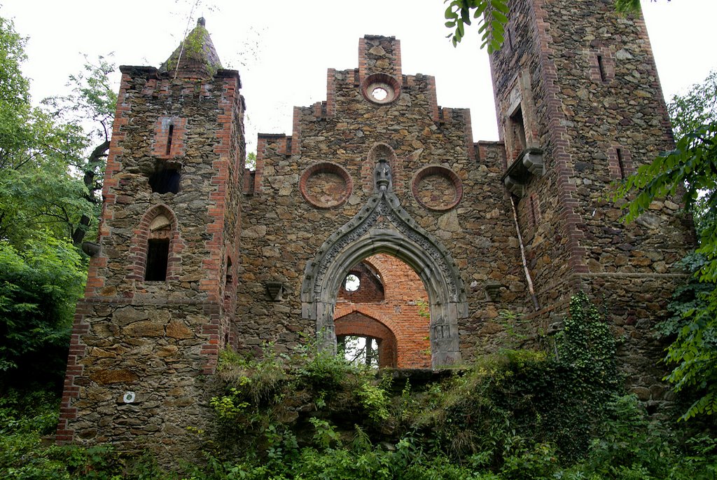 Ruins of the Rajsko castle near Bożkowice by Tomek Wiazowski