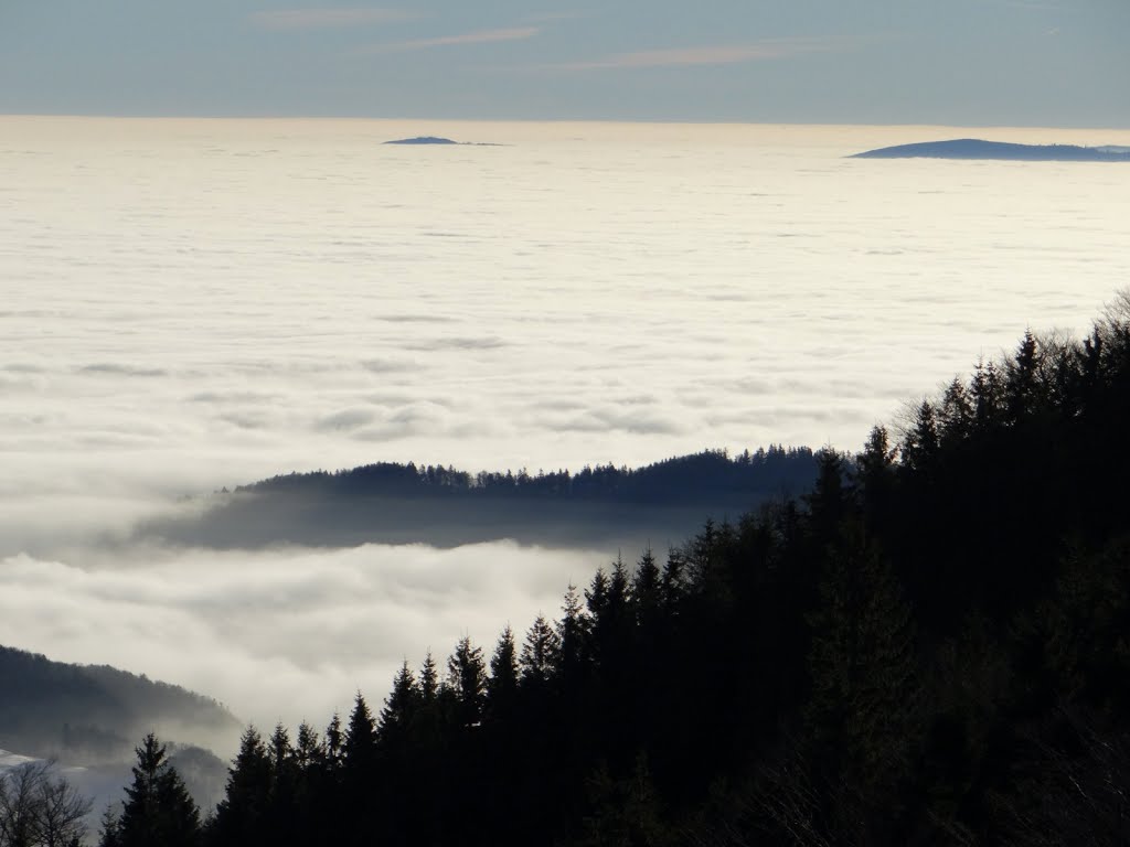 Rozhľad zo Skalky (1231 m.n.m) - Inverzia - Podpoľanie by _HUMMER_