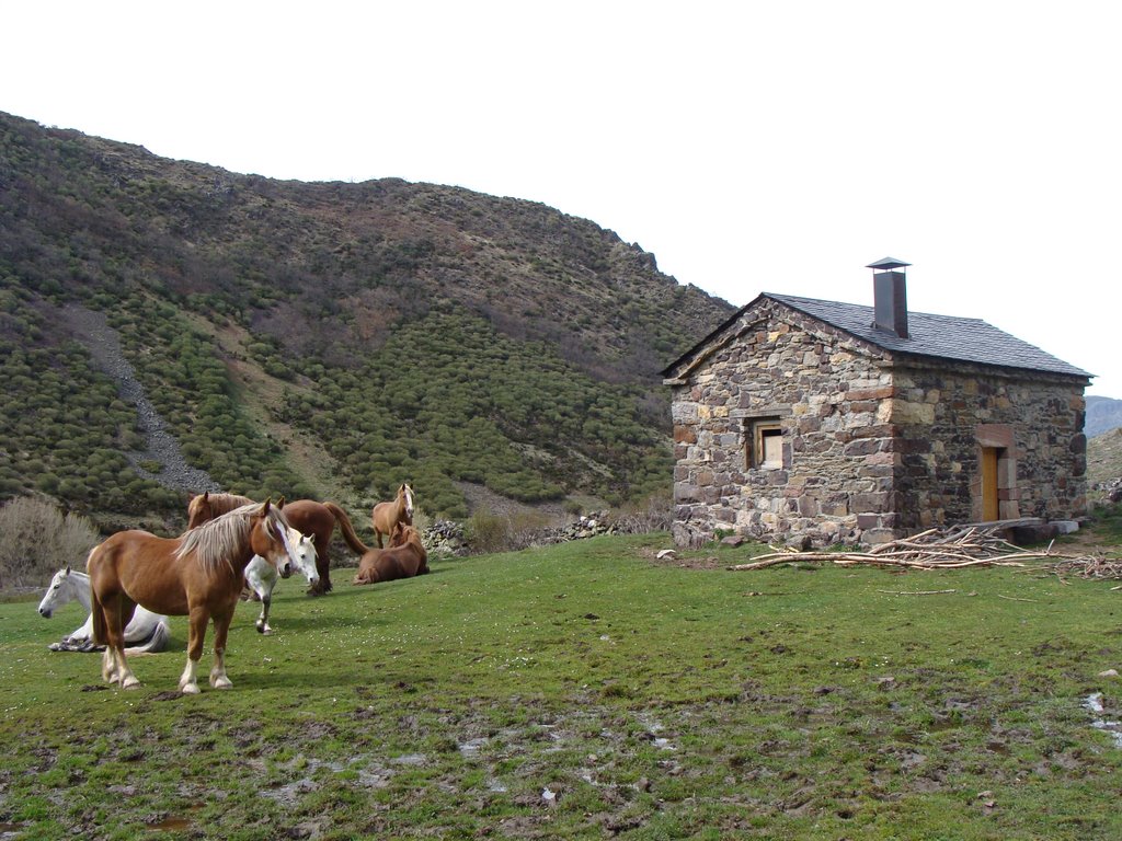 La Braña by Beario