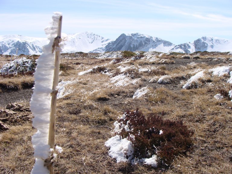 Alto Terreiros by Beario