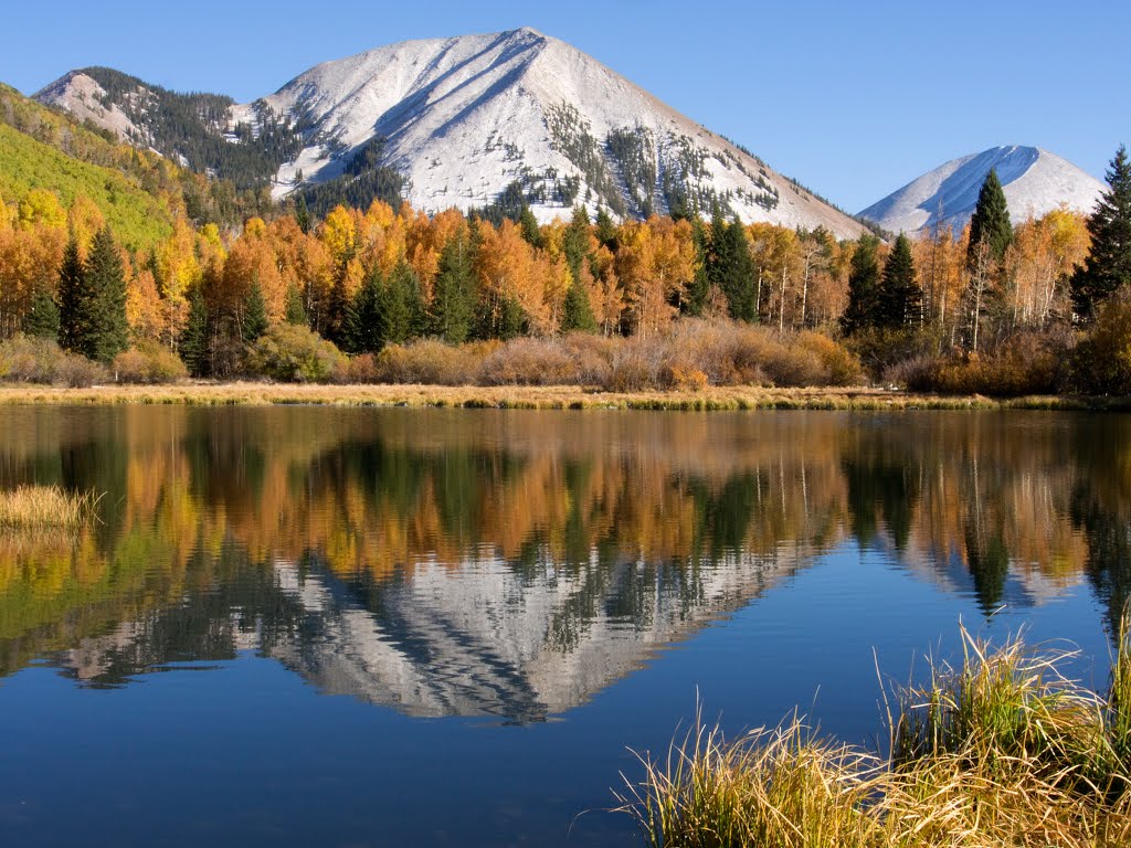 Warner Lake reflections by Tom C.