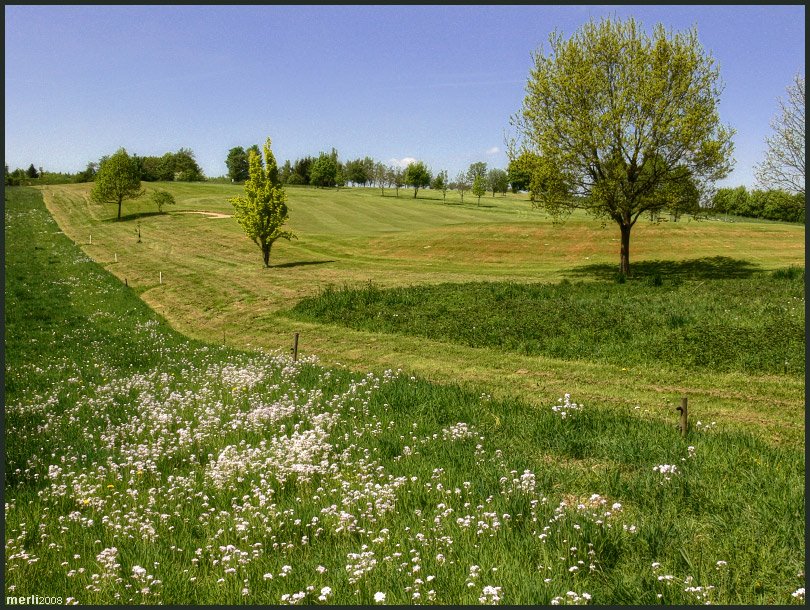 Merli: Wanderung um den Osterberg, Golfplatz by merli