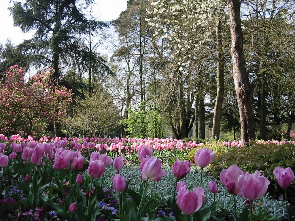 Parc de Procé by pascale Catala