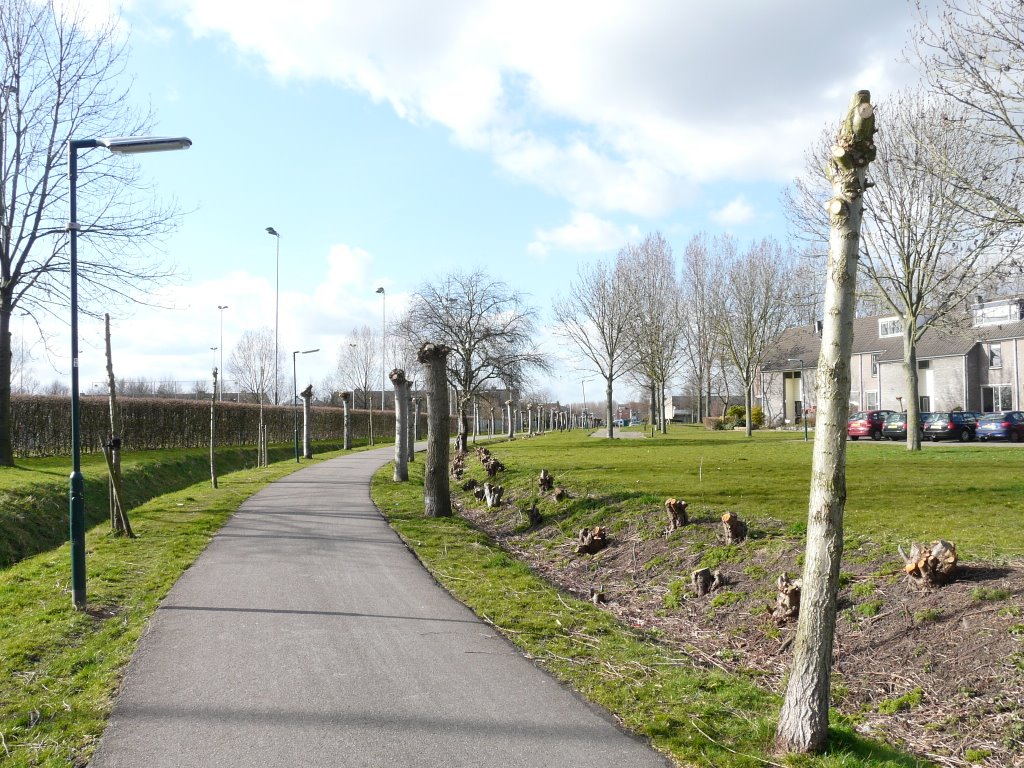 De Wulfsedijk, zicht op noordwesten, Houten by David Jimmink