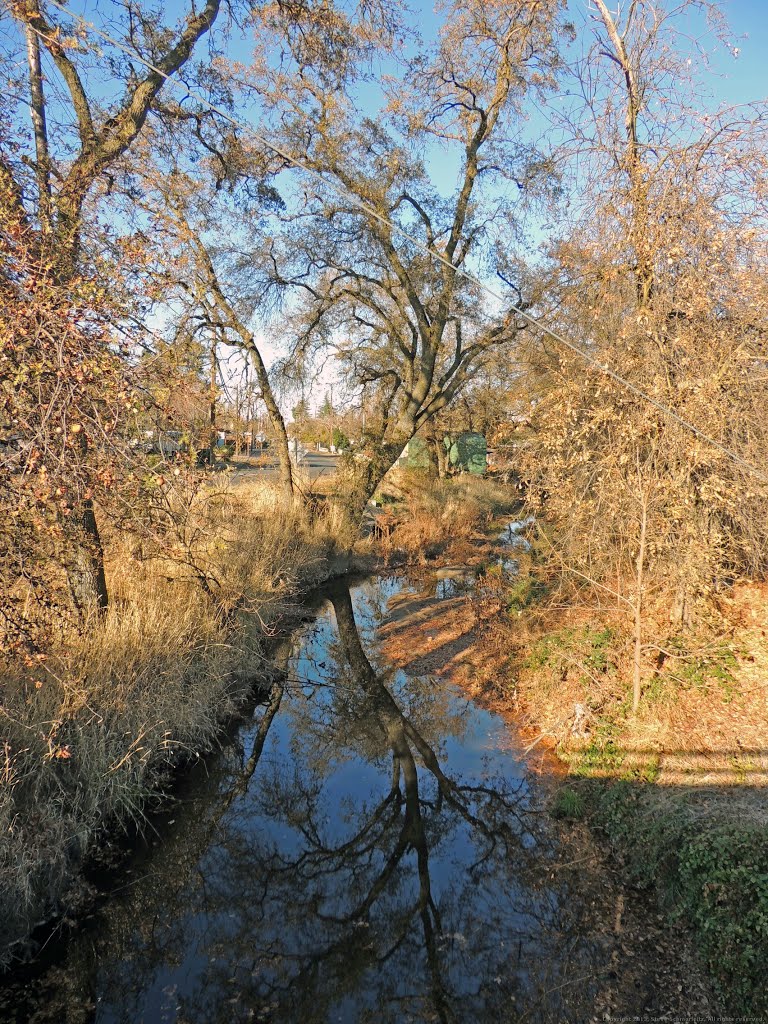 Reflection in Western Branch of Dry Creek, Rio Linda, CA by Steve Schmorleitz, NationalParkLover.com