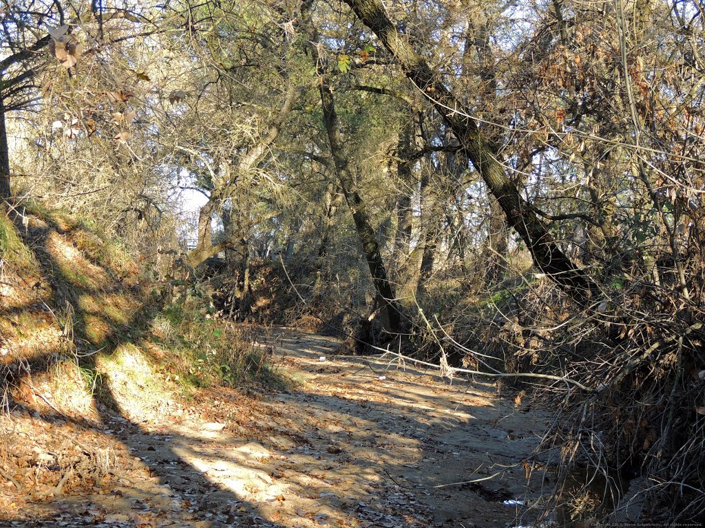 Sandy Bend on Dry Creek Seconday Channel, Rio Linda, CA by Steve Schmorleitz, NationalParkLover.com