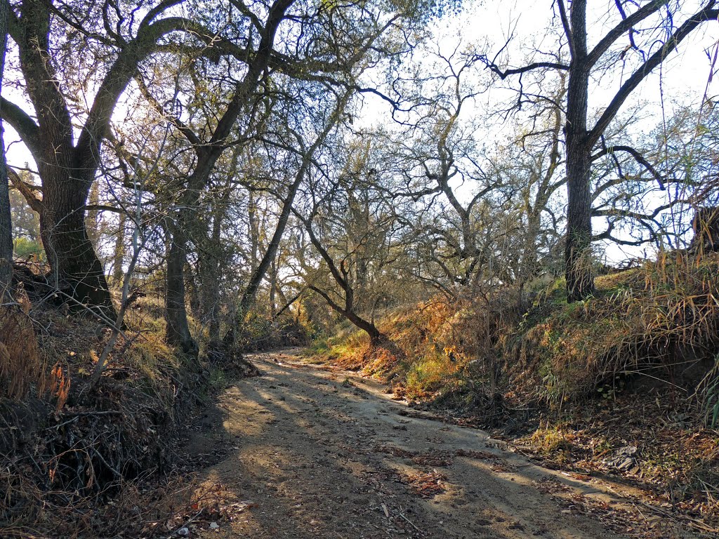 Dry Creek Near Curved Bridge in Rio Linda, CA by Steve Schmorleitz, NationalParkLover.com