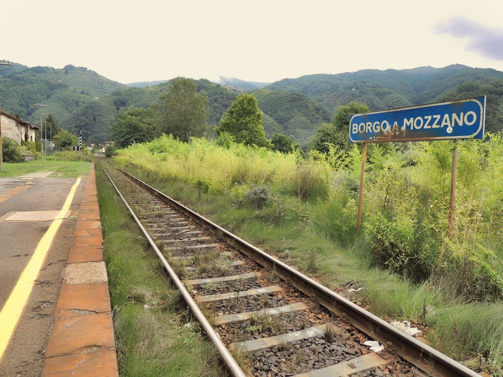 Stazione Borgo a Mozzano by guspatagonico