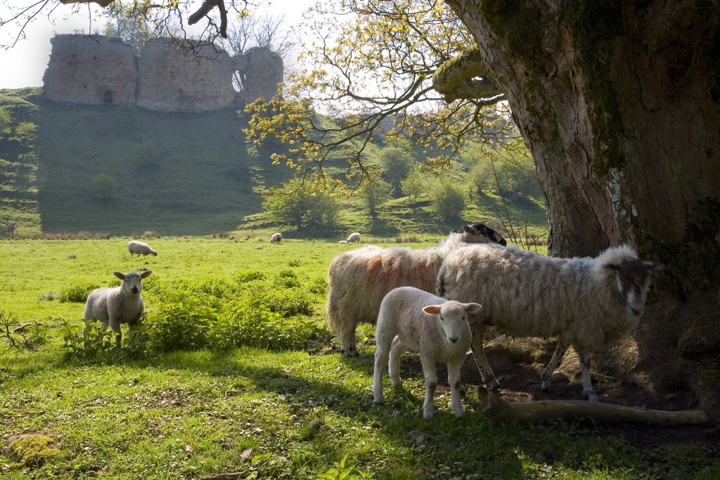 Mitford Castle by the-image-farm