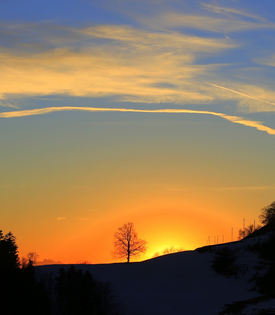 Dezemberabend in und um Sternenberg ZH by rudolf dubs