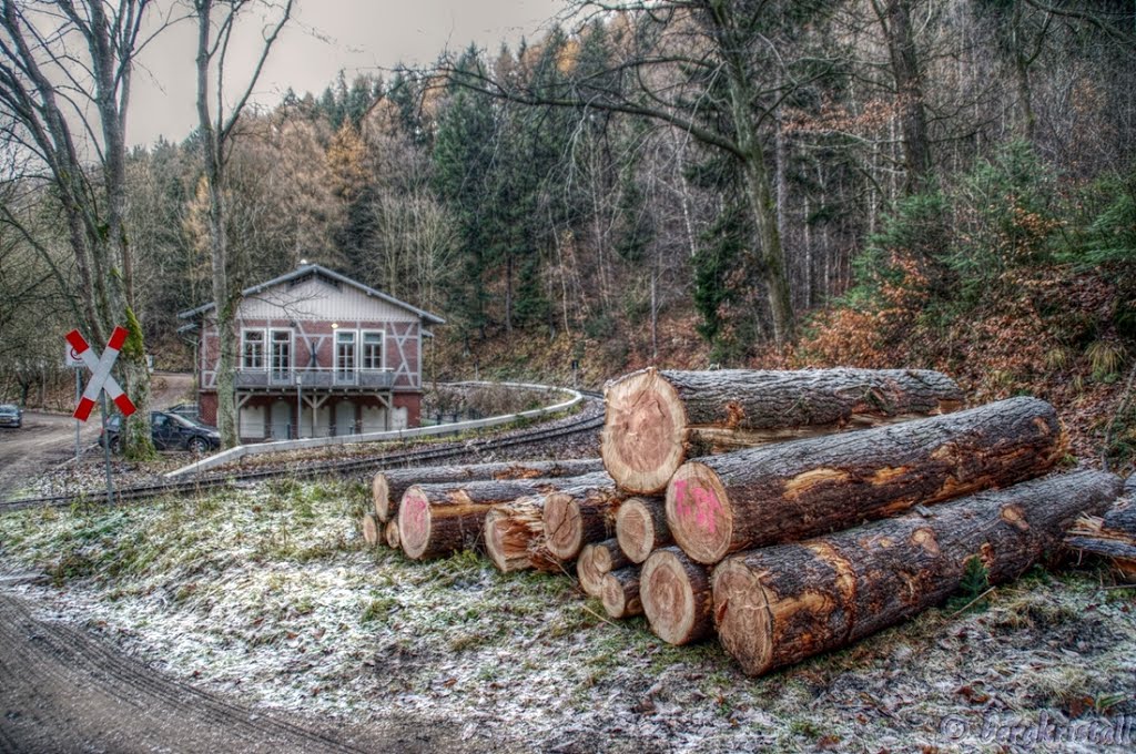 Holzstämme am Haltepunkt Steinerne Renne by ☼❄ bergkristall ❆ ☼