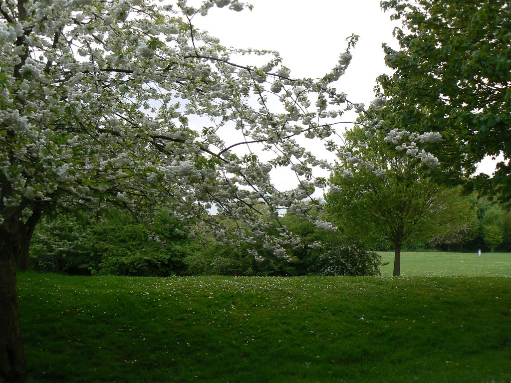 Brickfields Meadow Doorstep Green by Mihalec Hedvig