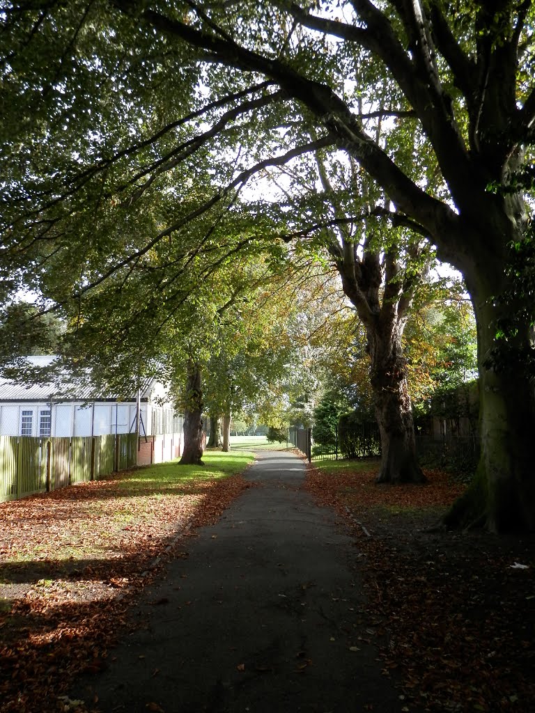 South Norwood Recreation Ground by Mihalec Hedvig