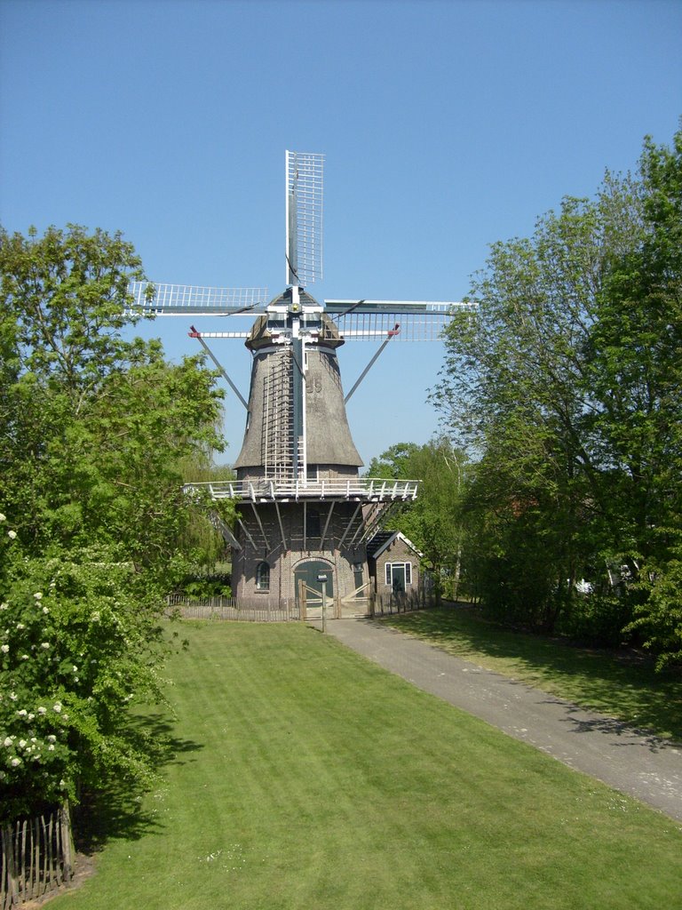 Molen by tirei