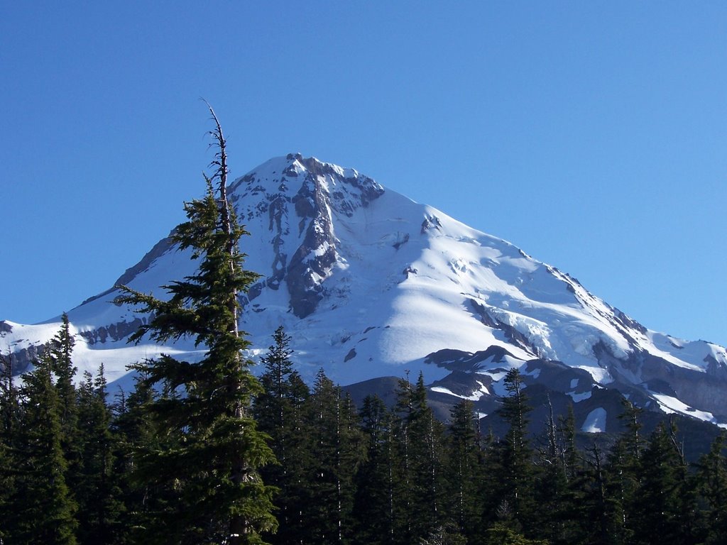 Mt. Hood - view from Cloud Cap campground by Heather Rogers Thompson